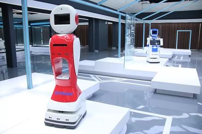 工業(yè)機器人迎來“阜陽造”新紀元 正式投產(chǎn)引領(lǐng)智能機器人研發(fā)新浪潮